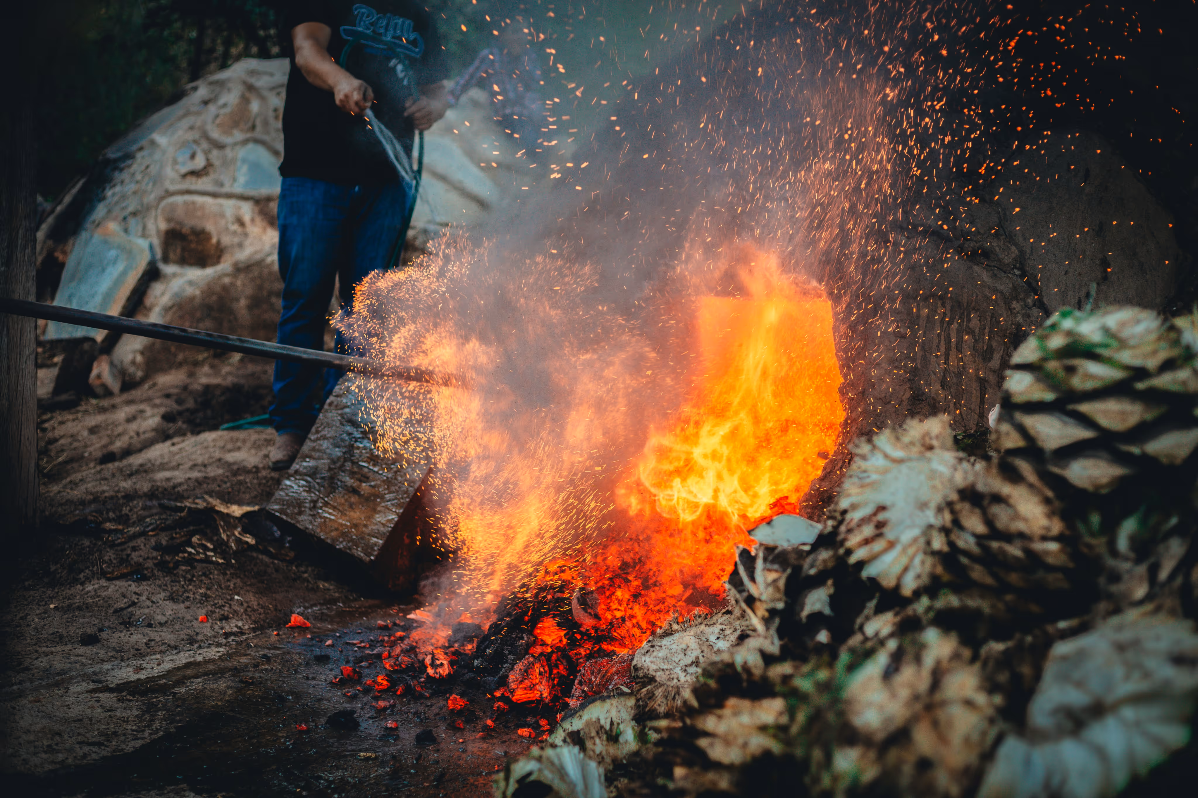 Agave piñas roasting over fire